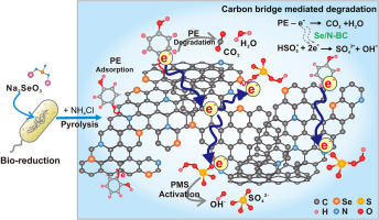 Selenium-Doped Carbon Nitride